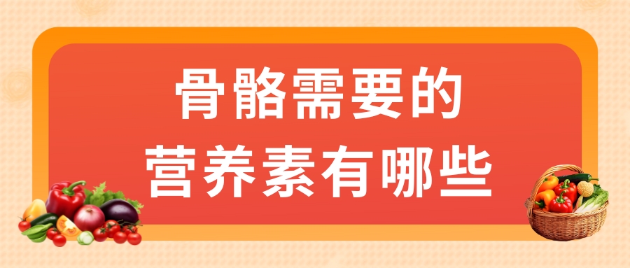 骨骼需要的營養(yǎng)素有哪些？
